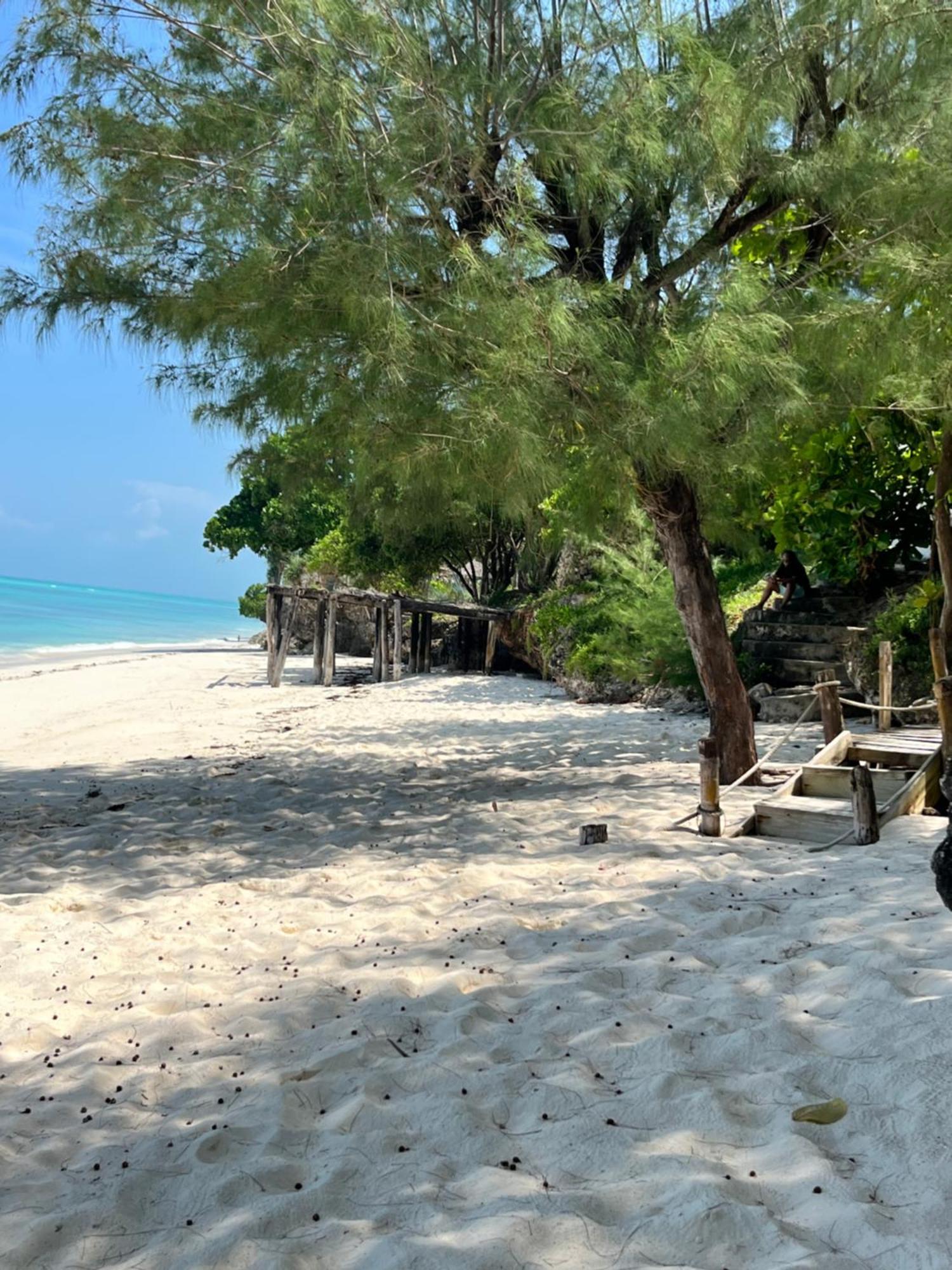 Sazani Beach Lodge And Tidal Lounge نونغوي المظهر الخارجي الصورة