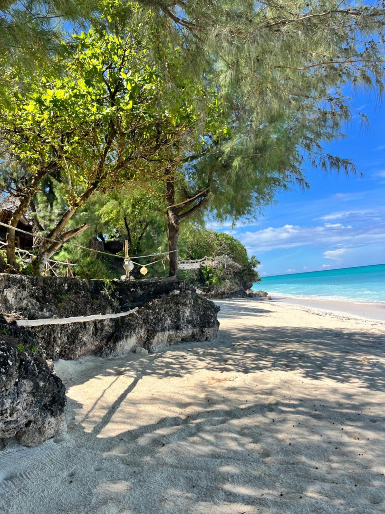 Sazani Beach Lodge And Tidal Lounge نونغوي المظهر الخارجي الصورة