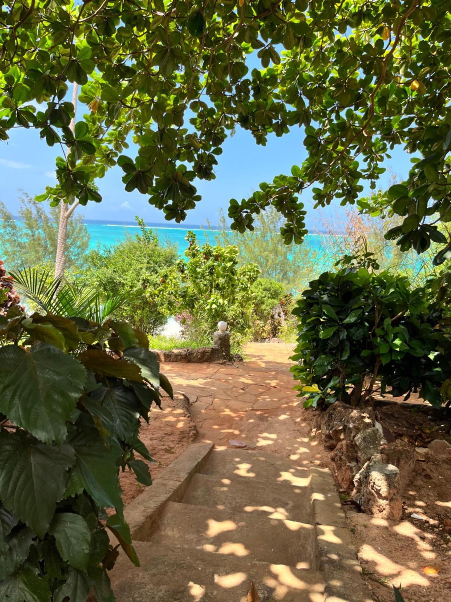 Sazani Beach Lodge And Tidal Lounge نونغوي الغرفة الصورة