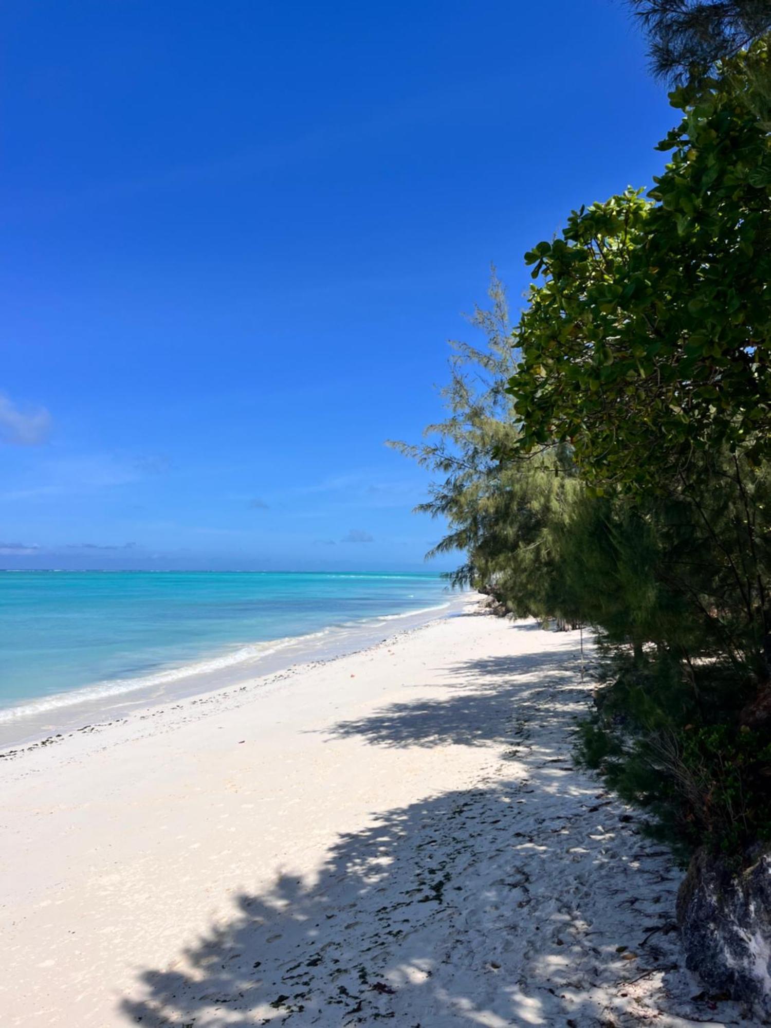 Sazani Beach Lodge And Tidal Lounge نونغوي المظهر الخارجي الصورة