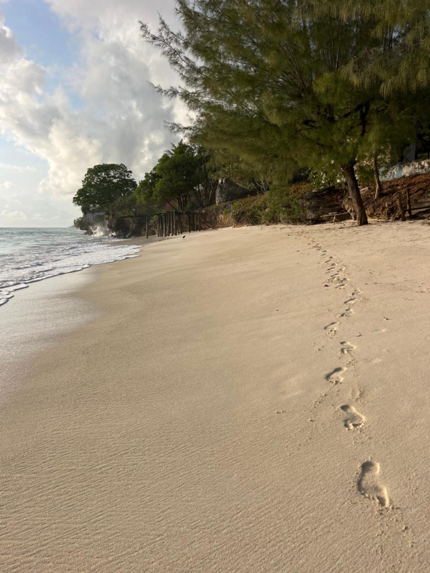 Sazani Beach Lodge And Tidal Lounge نونغوي المظهر الخارجي الصورة