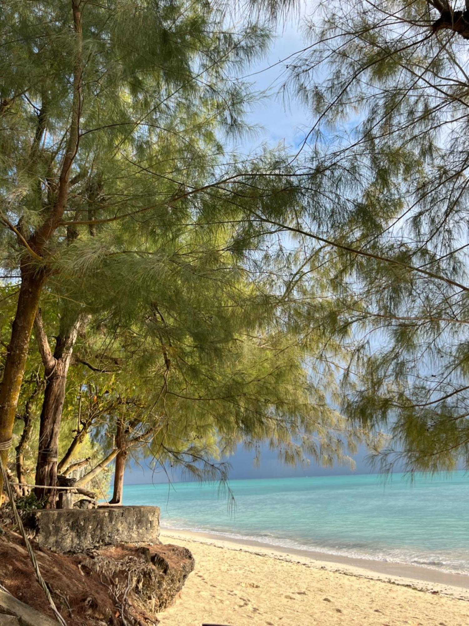 Sazani Beach Lodge And Tidal Lounge نونغوي المظهر الخارجي الصورة