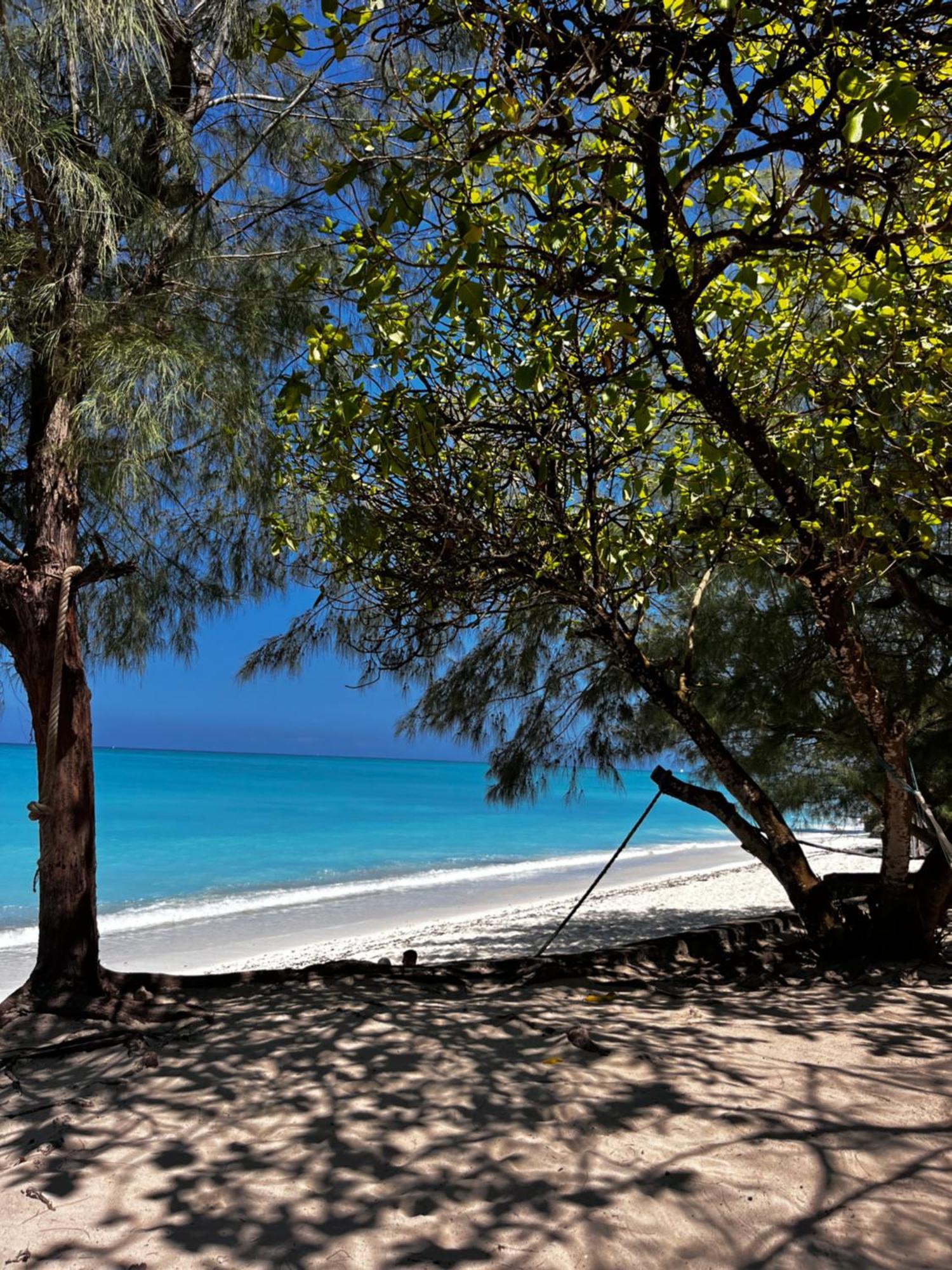 Sazani Beach Lodge And Tidal Lounge نونغوي المظهر الخارجي الصورة